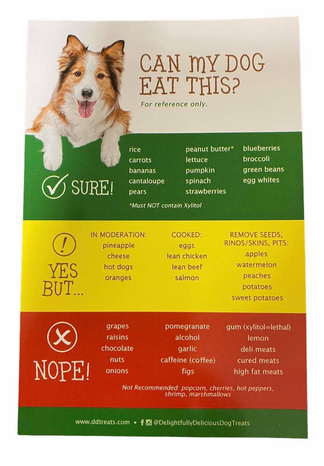 Delightfully Delicious Dog Treats Dog Safe Unsafe Foods Magnet